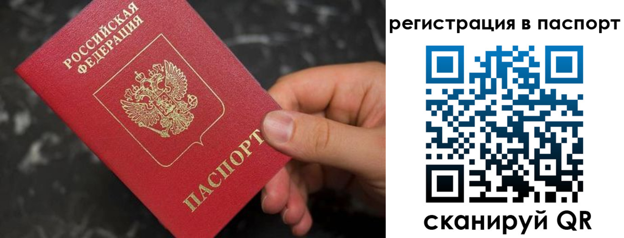 прописка для работы в Бабаево